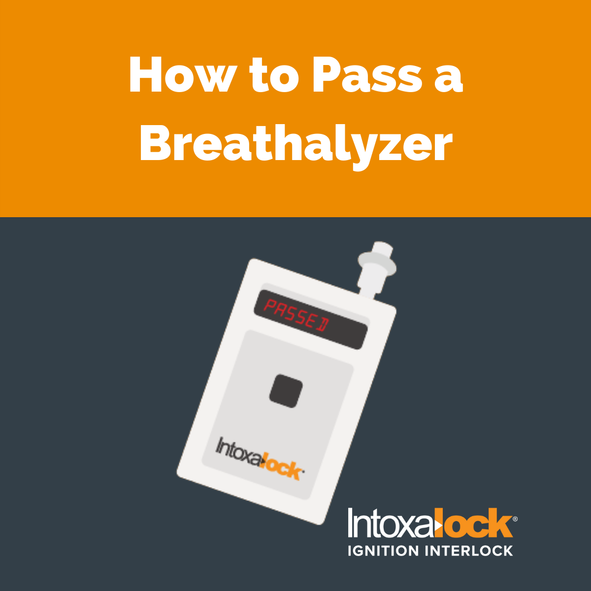 How to Pass a Breathalyzer Test